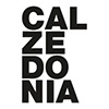 Store Calzedonia