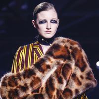 Dries Van Noten Fall/Winter 2016 Fashion Show 